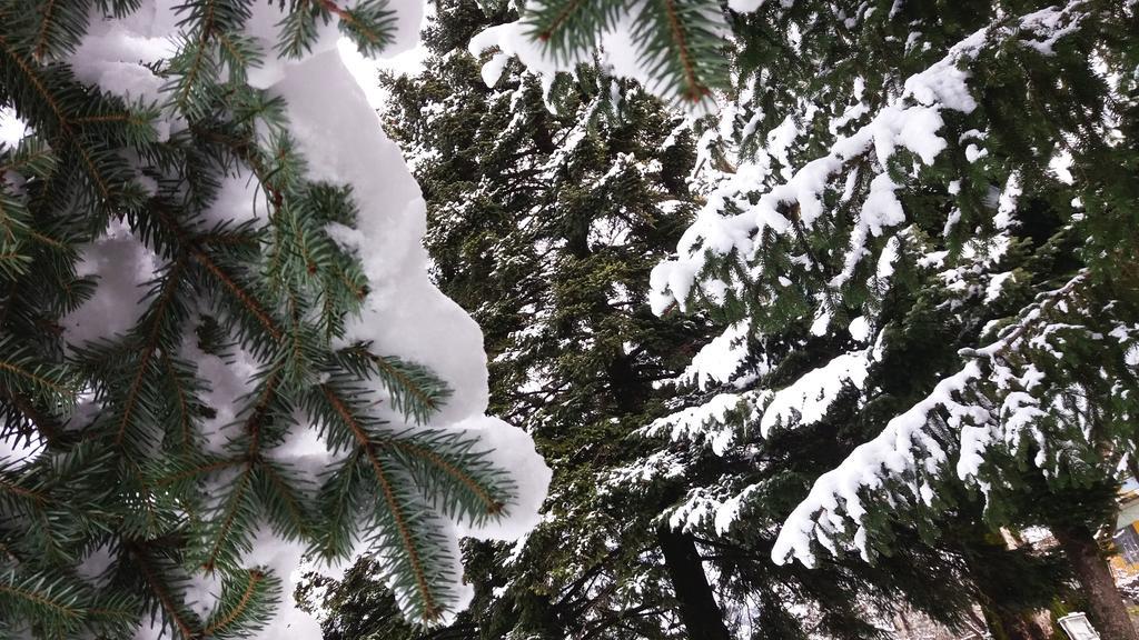 Etheres Tzoumerkon Mountain Resort Katarraktis  Luaran gambar
